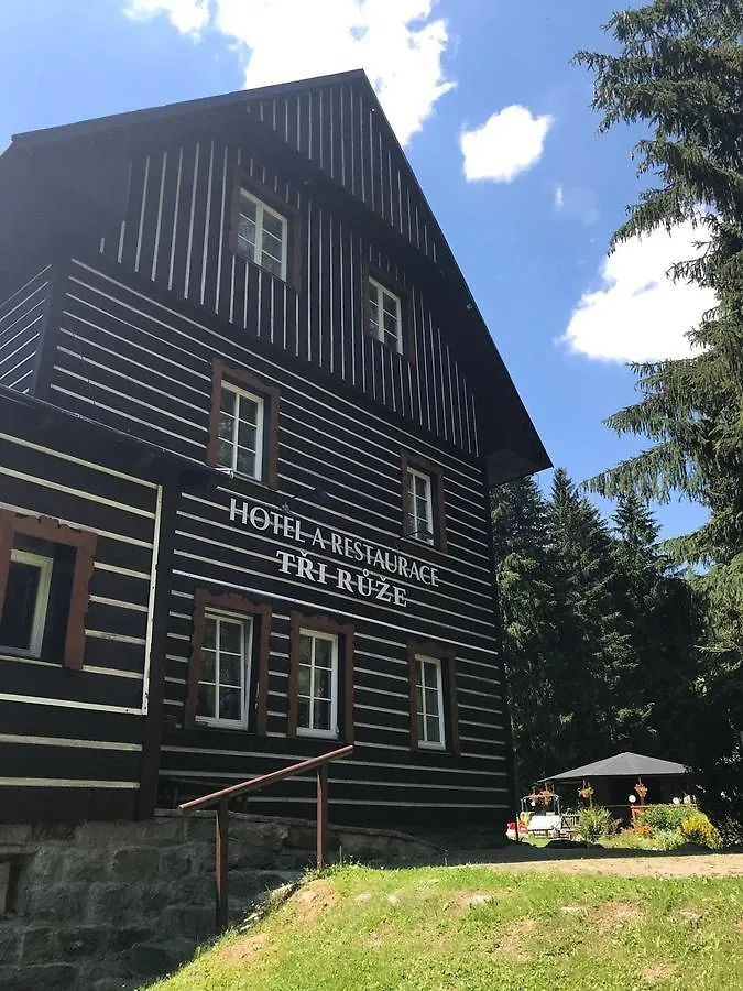 Hotel Tri Ruze Špindlerŭv Mlýn 3*,  Tsjechië